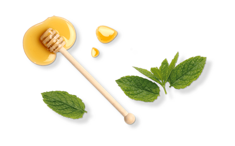 خواص عسل در طب سنتی